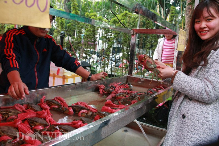 Cua Cà Mau được bán với giá trên 300.000 đồng/kg.