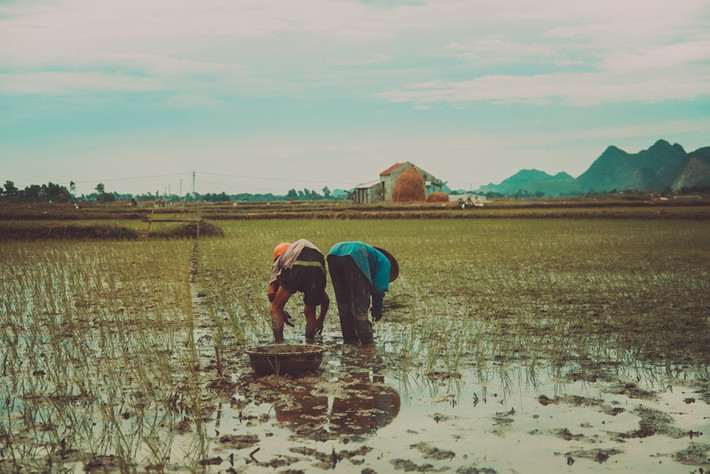 Cả nhà cứ làm được đồng nào là đi khắp nơi chữa bệnh. Ở đâu bác sĩ cũng lắc đầu vì căn bệnh hiếm gặp và khó chữa trị. Gia cảnh đã khó khăn, lại càng túng bấn hơn.