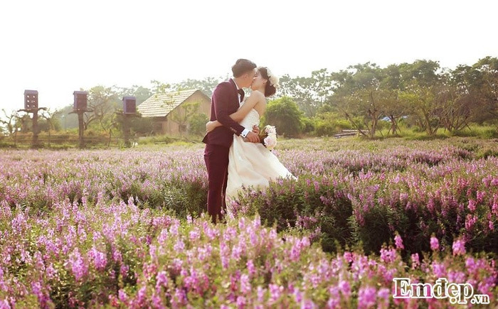 Khung cảnh Thảo nguyên hoa Long Biên càng trở nên thơ mộng và bình yên hơn cùng vườn hoa đậm sắc tím.