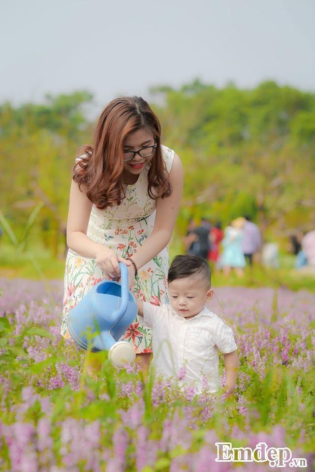 Cánh đồng hoa ngọc hân ở Thảo nguyên hoa Long Biên những ngày này thu hút vô số người tới tham quan, chụp ảnh .