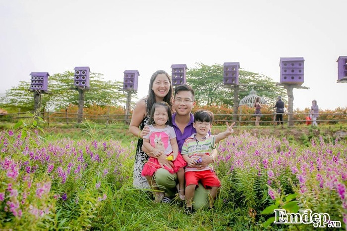 Vườn hoa này đã bắt đầu nở rộ, hứa hẹn sẽ trở thành địa điểm check in mới của giới trẻ Hà thành.