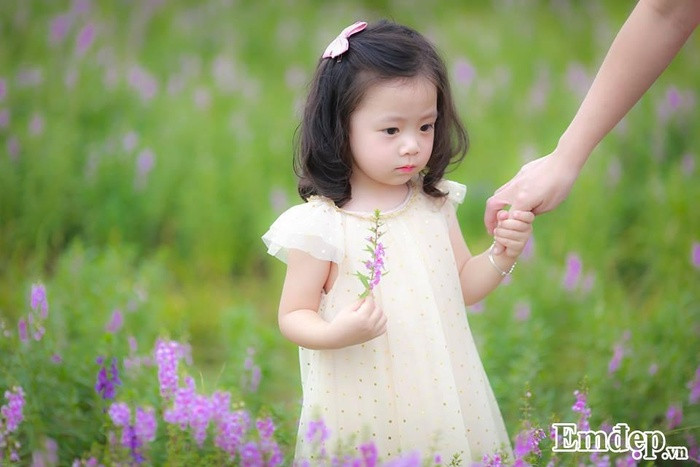 Đường đến vườn hoa ngọc hân này khá dễ đi, vậy nên sẽ chẳng có lí do gì cản trở bạn đến đây chụp lại những bức hình đẹp lung linh. Từ đê Long Biên bạn đi theo hướng cầu Vĩnh Tuy vào khoảng 1,5 km, rẽ phải vào đường Thạch Cầu khoảng 1 km nữa là tới.