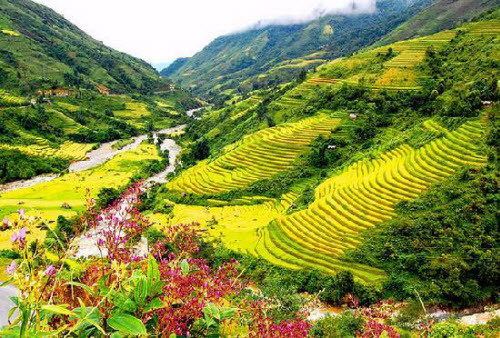 Sa Pa, Việt Nam Thị trấn Sa Pa có văn hóa đa dạng, khí hậu mát mẻ và phong cảnh đẹp, bao gồm nhà thờ đá được xây dựng theo phong cách Gô-tích. Du khách có thể thưởng thức các món ăn Việt Nam hay châu Âu tại trung tâm thị trấn và đừng quên ghé thăm “chợ tình” vào tối thứ Bảy hàng tuần. Ngoài ra, bạn có thể khám phá phong cảnh núi non và ruộng bậc thang ở đây.