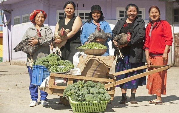 Để quán xuyến nhà cửa, người vợ cả trong gia đình là bà Zathiangi sẽ chỉ đạo và phân chia các việc cần làm cho những người vợ lẽ. Họ sẽ chia nhau làm các việc như quét dọn, giặt giũ và chuẩn bị bữa ăn. Một bữa tối trong nhà sẽ cần đến 30 con gà, hơn 45kg khoai tây và hơn 90kg gạo.
