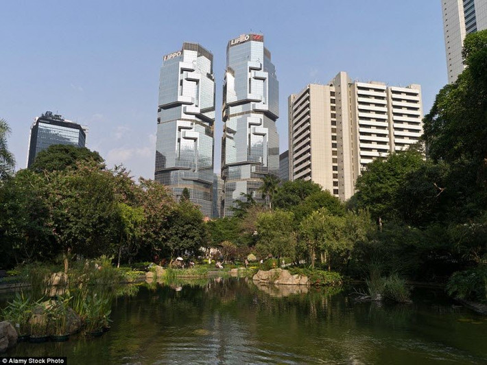 Tòa tháp đôi của Trung tâm Lippo với tạo hình những chú gấu túi đang leo cây ở Hong Kong.