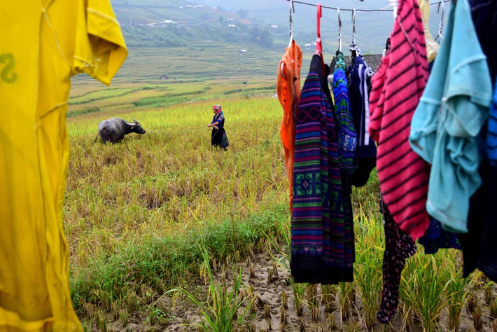 Xã La Pán Tẩn quả không phụ lòng người. Tôi đã nghe rằng nơi đây nổi tiếng bởi những thửa ruộng bậc thang đẹp tựa vân tay của trời, nhưng tới khi được tận mắt chứng kiến, tôi còn muốn tìm một từ nào đó “hoa mỹ” hơn cho vùng đất này, mà không thể.