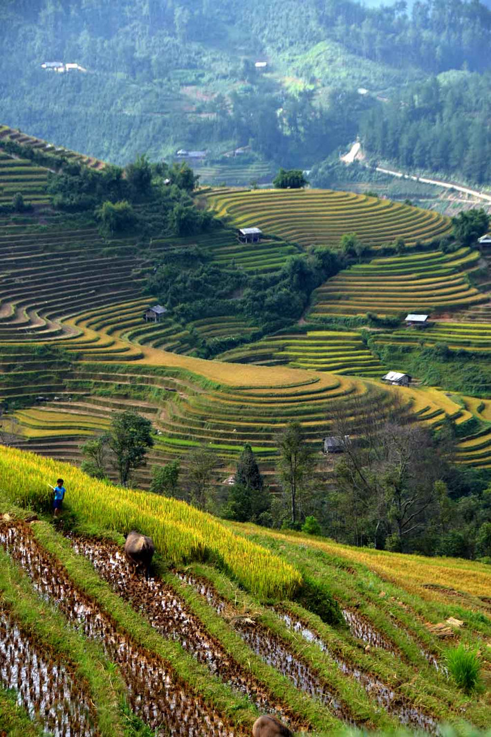 Địa điểm này cách trung tâm huyện lỵ khoảng 10km, ngay chân cầu Ba Nhà có một con đường đất đi ngược lên trên. Đường khá xấu, sẽ trơn trượt vào những ngày mưa. Tại đầu con đường này lúc nào cũng có sẵn đội ngũ xe ôm người bản địa, sẵn sàng chở bạn lên tận nơi ngắm được mâm xôi với góc gần nhất, với giá khoảng 60 nghìn đồng cho cả hai lượt lên - xuống.