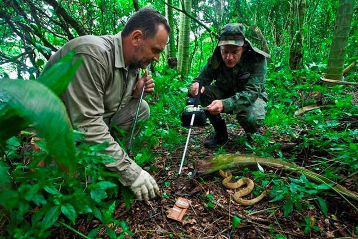 Câu chuyện thứ hai nói về người canh ngọn hải đăng và gia đình ông. Trên đảo duy nhất có một ngọn hải đăng và hầu như không có người sống. Có một truyền thuyết rằng cư dân cuối cùng sống trên đảo là người canh gác ngọn hải đăng. Một đêm, hàng trăm con rắn trườn qua cửa sổ tấn công gia đình ông khiến họ phải tìm cách trốn thoát ra thuyền ngoài khơi. Tuy nhiên những con rắn dài hơn nửa mét đã treo mình qua những cành cây, cắn cả gia đình này khiến họ chết trong đau đớn.
