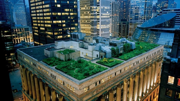 Tòa nhà Chính phủ ở Chicago Trên tầng thượng của tòa nhà City Hall (City Hall) ở Chicago với kiến trúc nhà và cây xanh độc đáo.