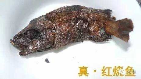 "Cô ấy gọi đây là món cá sốt, nhưng tôi không dám chắc".
