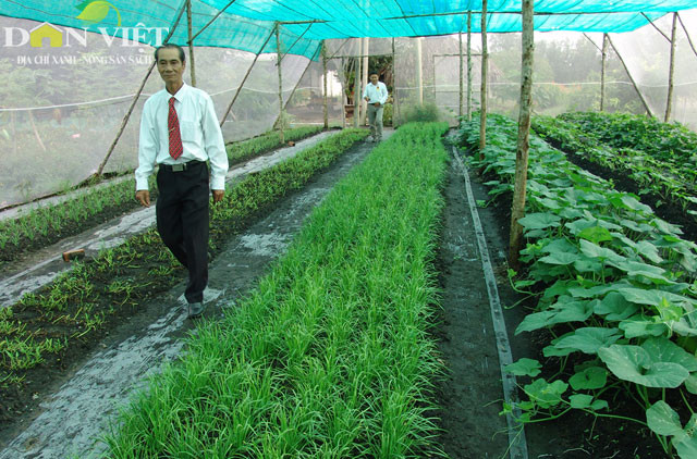 HTX hiện đang trồng thí điểm trên diện tích 2000m2. Tính tổng cộng chi phí lắp đặt nhà màng, nguồn đất nhân tạo, cây giống… chỉ khoảng 40 – 50 triệu/1.000m2. Sau khi phủ bạt nền, vun đất nhân tạo cao độ 10cm thì bắt đầu trồng và thu hoạch. Đặc điểm nổi bật của phương pháp canh tác này là rau quả trồng trong nhà màng phòng trừ sâu bệnh gây hại; tận dụng được hết các phế thải nông nghiệp như lục bình, cỏ dại, các loại rác thải hữu cơ từ chợ đầu mối.