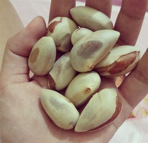Bên cạnh đó, hạt mít còn có tác dụng làm sáng da cực hiệu quả. Sau khi được ăn vào cơ thể lập tức hạt mít được tiêu hóa, vả lại, trong đó có hàm lượng chất xơ cao nên giúp ngăn ngừa táo bón. Việc ngăn ngừa táo bón đã giúp cơ thể đào thải chất độc ra ngoài một cách nhanh chóng đây cũng là điều kiện đầu tiên và quan trọng nhất cho một làn da sáng khỏe.