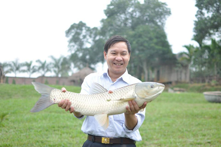 ...bởi vì không khó để câu được con cá lớn như thế này.