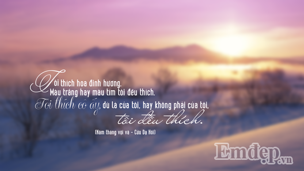Đơn giản thích là thích thôi, tình cảm thì làm gì có lý do. Nếu như trong tình yêu, bạn dễ dàng tìm được lý do tại sao yêu một người, hãy cân nhắc lại tình yêu của mình. Tình yêu thật sự càng không phải là mong muốn chiếm hữu mà dù người đó không thuộc về mình thì yêu vẫn cứ là yêu. Tình yêu đẹp nhất chính là sự chờ đợi, hi sinh không mong đáp trả.