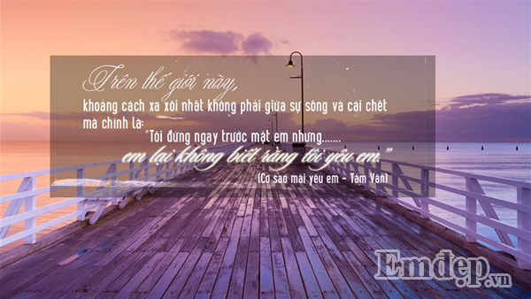 Trên thế gian này, điều đau khổ nhất là nhìn người mình yêu mỗi ngày, đối diện mỗi phút nhưng chưa một lần dám nói yêu người ấy lấy một lần. Cảm giác đơn phương mà không thể nói ra này giống như gần trong gang tấc nhưng sợ bước một chân tới gần lại trở thành lý do cách biệt ngàn trùng.