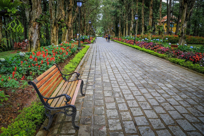 Con đường tại dinh 1 với khung cảnh nên thơ trữ tình được xem là chốn lãng mạn nhất Đà Lạt. Tới đây, các cặp đôi sẽ không thể bỏ lỡ cơ hội check-in tại con đường tình yêu ngợp sắc hoa này.