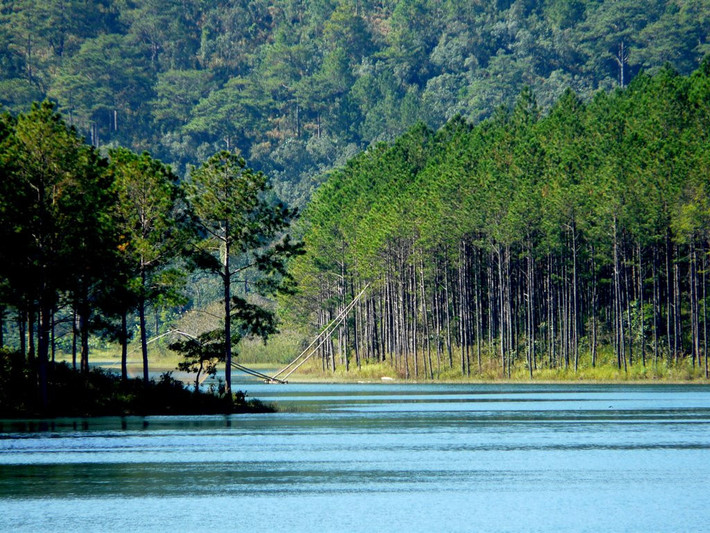 Đại diện Công ty Đà Lạt Trong Tôi cho biết, thời gian gần đây, tour tham quan Đà Lạt trong một ngày thu hút sự quan tâm và đăng ký của nhiều du khách. Tham gia tour du lịch Đà Lạt một ngày, du khách không chỉ tiết kiệm chi phí, mà còn có thể khám phá nhiều địa điểm trong ngày, cũng như có cơ hội giao lưu với du khách đến từ nhiều vùng miền khác nhau ở Việt Nam và các nước trên thế giới.