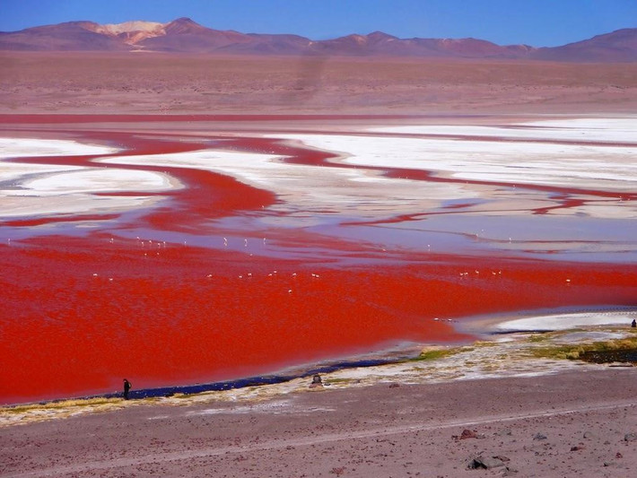 Hồ Lago Colorada ở Bolivia là hồ chứa nước màu đỏ, khiến nhiều người liên tưởng như một khu vực trên sao Hỏa. Nguyên nhân tạo nên màu đỏ của hồ là lớp trầm tích lắng đọng và một loại tảo. Hồ có những đảo muối borax trắng xóa. Đây cũng là nơi tập trung rất nhiều giống chim hồng hạc quý hiếm. Ảnh: Wordpress.