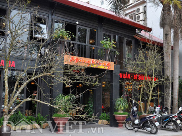 Hai cành lê rừng cổ thụ được một chủ nhà hàng trên đường Lạc Long Quân cắm trang trí trước của để lấy may đầu năm.