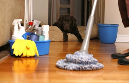 Bước 3: Dọn dẹp Năng lượng tiêu cực tích tụ rất nhiều trong những ngôi nhà bừa bộn. Vậy nên hãy bắt tay vào tổng vệ sinh nhà cửa ngay lập tức. Đồ cũ như tạp chí, giấy rác thừa hay quần áo bẩn đều chứa năng lượng tiêu cực. Hãy bỏ đi nếu bạn không cần dùng đến chúng nữa. Rửa bát đũa tích trong bồn, dọn bàn uống nước, giặt quần áo bẩn, thảm chùi chân, rèm cửa... và cất gọn mọi thứ lại. Như vậy năng lượng tiêu cực sẽ không còn chỗ trú ngụ nữa.