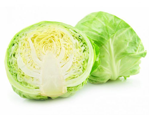 Đặc biệt, vitamin K trong bắp cải giúp quá trình chuyển hóa xương và còn có khả năng ngăn ngừa bệnh Alzheimer. Nên đây là loại thực phẩm mà người cao tuổi và người bị loãng xương không nên bỏ qua.