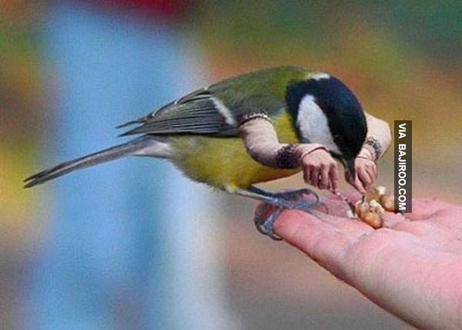 Để im tôi "chén" xong món này đã nhé.