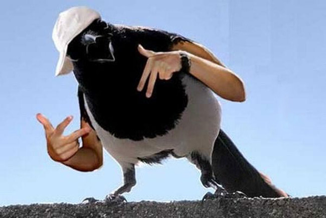 Các bác nhìn xem em giống dân "hiphop" không?