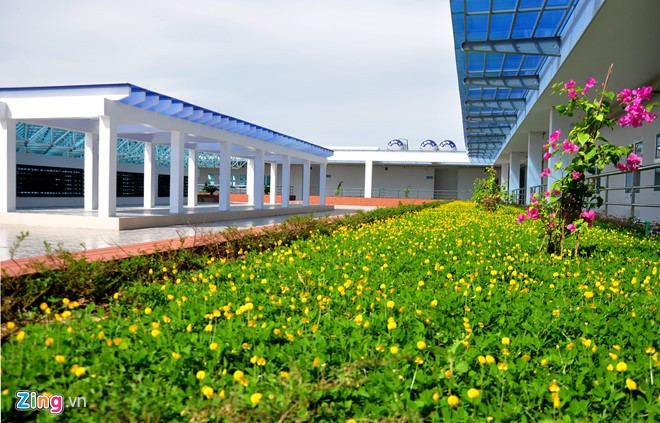 Thảm hoa sân vườn ở tầng 3. Ngày 22/9, kiểm tra hiện trường, ông Ngô Lâm, Phó cục trưởng Cục giám định Nhà nước về chất lượng công trình xây dựng (Bộ Xây dựng) đánh giá chợ mới Quảng Ngãi có kiến trúc đẹp và công năng sử dụng hợp lý; kết hợp hài hòa yếu tố truyền thống và hiện đại của công trình chợ.
