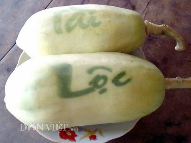 Các chữ được in trên trái đu đủ được nhóm chị Ướm làm gồm “Phát”, “Lộc”, “Thọ”, “Tài”...