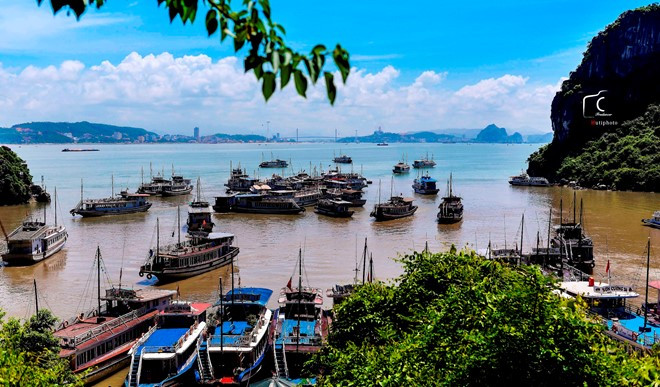 Ra khỏi động, chiếc cầu gỗ dài rợp bóng cây xanh lần nữa đưa bạn trở về tàu, tiếp tục hành trình khám phá vịnh Hạ Long.