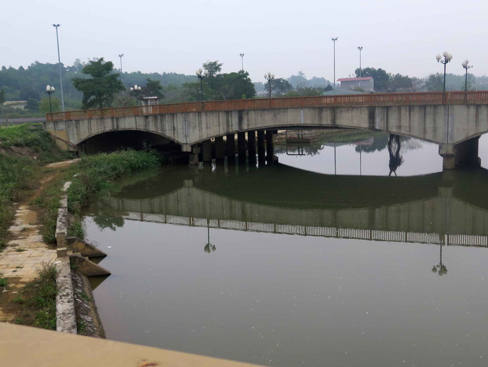 Những cây cầu đồ sộ...