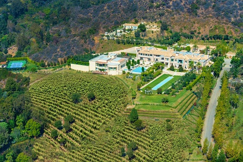 "Palazzo di Amore" sở hữu một vườn nho bạt ngàn rộng lớn, với sản lượng đủ để sản xuất ra 400 thùng rượu mỗi năm.