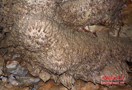 Những hình thù kỳ thú trong hang.