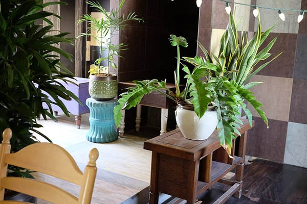 3. Maison de Tau - Hội An Maison de Tau là một không gian mang đậm chất Vintage thích hợp cho những tín đồ hoài cổ. Từ những khung của, kệ giá kê đồ đến bàn ghế đều mang đậm màu thời gian. Không gian của Maison de Tau được bao phủ ngập tràn bởi cây cối xanh mát. Cái tên Maison de Tau cũng vô cùng đặc biệt. Theo tiếng Pháp dịch ra, nó có nghĩa là Nhà Tau. Đến đây bạn sẽ được tận hưởng những phòng ở với không gian rộng thoải m cho cả gia đình, có bồn tắm để bạn thư thái ngâm mình và đặc biệt là giá cả ở đây vô cùng rẻ.
