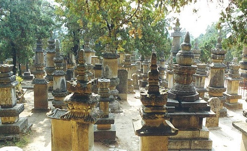 Sơn Đông trường thanh huyền linh nham tự tháp lâm: nằm tại vị trí phía Tây của bảo điện Đại Hùng. Khu mộ gồm 167 tòa tháp, 81 bia mộ, là lăng mộ của các vị cao tăng trụ trì tại chùa, quy mô to lớn, độc nhất vô nhị tại Trung Quốc.