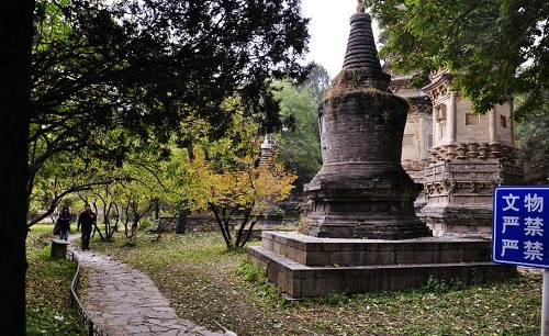 Bắc Kinh đàm chá tự tháp lâm: Trải qua hơn 10 triều đại, không để đếm được số vị tu hành, là nơi yên nghỉ của các vị cao tăng.