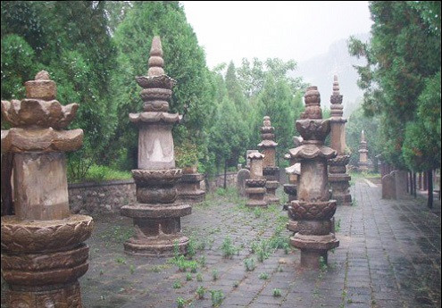 Sơn Đông lịch thành đại âm thần thông tự tháp lâm: Hiện có 46 tòa tháp (có sách ghi là 41 tòa) có từ thời nhà Nguyên, nhà Minh.