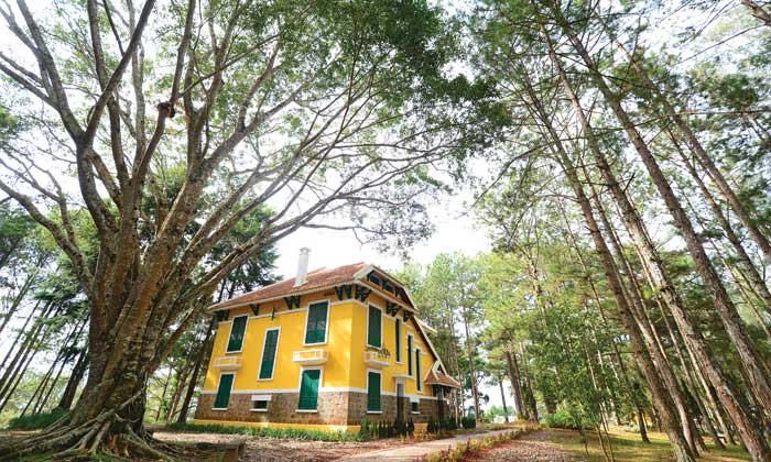 Biệt thự Đà Lạt thường gắn liền với một khoảng xanh, đường nét kiến trúc được thiết kế đa dạng mang chủ ý kết hợp hài hòa với cảnh quan môi trường.