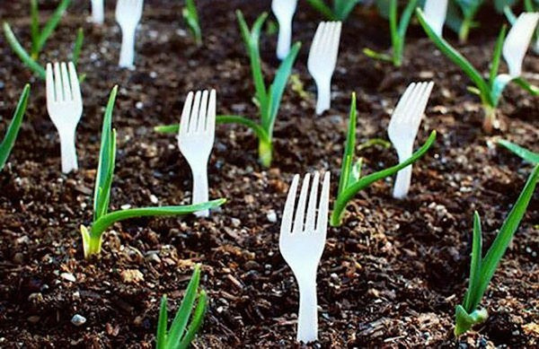 Khi có một mảnh vườn nhỏ, bạn vẫn mong muốn tạo nên một không gian tươi xanh, cây cối phát triển um tùm, mát mắt. Hãy học nhanh những mẹo làm vườn đơn giản mà hiệu quả trong bài viết dưới đây, giúp bạn giảm bớt đi nhiều thời gian chăm sóc cây cỏ.