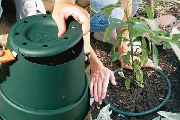 Ngăn chặn rễ cây mọc lan sang vùng đất khác Để ngăn chặn rễ cây tránh mọc lan sang vùng đất khác, bạn có thể đào hố để đặt chậu nhựa đã khoét đáy. Bỏ đất vào và trồng cây. Đây là cách tốt nhất để kiểm soát rễ cây tránh mọc tùm lum ra đất bên ngoài.