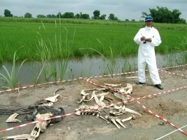 The body farm Nằm ở Knoxville, đây được xem là trang trại kinh dị nhất thế giới khi chứa đầy các xác chết động vật. Khu đất khá rộng và chỉ toàn xác các con vật phân hủy ở những thời kỳ khác nhau. Nơi đây được thành lập cho các nhà nghiên cứu học tập, họ được huấn luyện để học cách phân tích hiện trường. Và không một ai dám đến đây trừ các nhà nghiên cứu.