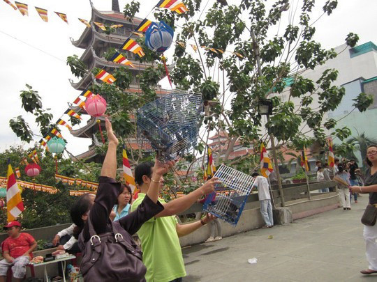 Phóng sinh có thể diễn ra vào nhiều ngày trong năm không chỉ riêng vào ngày rằm tháng Giêng. Tuy nhiên, phóng sinh đầu năm thường để cầu cho sức khỏe, may mắn, mọi việc theo sở nguyện.
