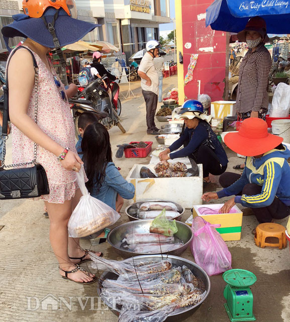 Tuy nhiên thời gian gần đây do tình trạng khai thác quá mức nên số lượng tôm hùm tự nhiên đánh bắt được khá hiếm, vì thế giá bán có thời điểm trên 1,2 triệu đồng/kg. Còn với loại nuôi thì rẻ hơn với giá dao động từ 600.000-800.000 đồng/kg.
