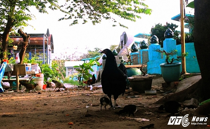 Khó khăn nhất đối với họ khi sống tại nghĩa trang, đó là nguồn nước bị nhiễm phèn và hối cốt nên không thể sử dụng, nước sinh hoạt hằng ngày đều phải mua. Tuy nhiên, họ cũng vui vì ở đây rộng rãi, có thể tranh thủ chăn nuôi được gà vịt..