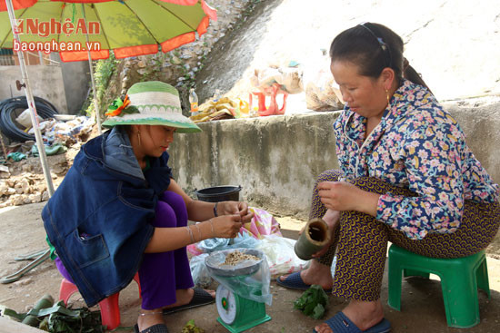 Loại đặc sản "bùa ngải" này được bà con vùng cao bán nhiều tại thị trấn Mường Xén (Kỳ Sơn).