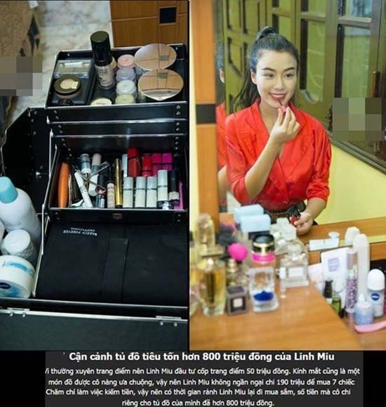 Trên trang cá nhân của mình, Linh Miu chia sẻ, cô sở hữu toàn những món đồ đắt tiền hàng hiệu, như cốp trang điểm giá 50 triệu đồng, một chiếc ô mua từ Singapore có giá đến 20 triệu, loạt nước hoa 50 triệu, túi xách, giày dép lên tới 800 triệu đồng. Tuy nhiên ngay khi dòng trạng thái chia sẻ của Linh Miu được đăng tải, cư dân mạng đã vào soi và bóc mẽ sự thực về những món hàng hiệu của cô.
