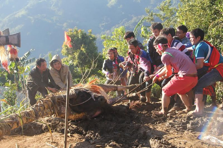 2 con trâu một đực một cái được giằng vào cây nêu trong đêm. Nghi thức đâm trâu mở đầu bằng việc cắt tiết lợn lúc 8h sáng, sau đó trai bản trói chân trâu và dùng dao, mác đâm trâu. Lúc đâm trâu, trai tráng dùng giáo mác đâm, phụ nữ đổ nước vào mũi trâu.