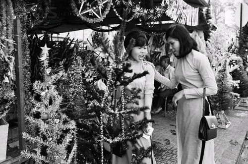 Tại một cửa hàng bán cây thông Noel, 1967.