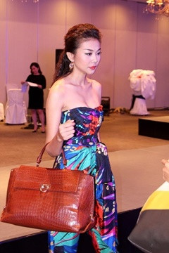 Siêu mẫu Việt Thanh Hằng từng gây sốc khi mang túi xách da ca sấu của thương hiệu Salvatore Ferragamo, chiếc túi này của người đẹp có giá lên đến 700 triệu đồng.