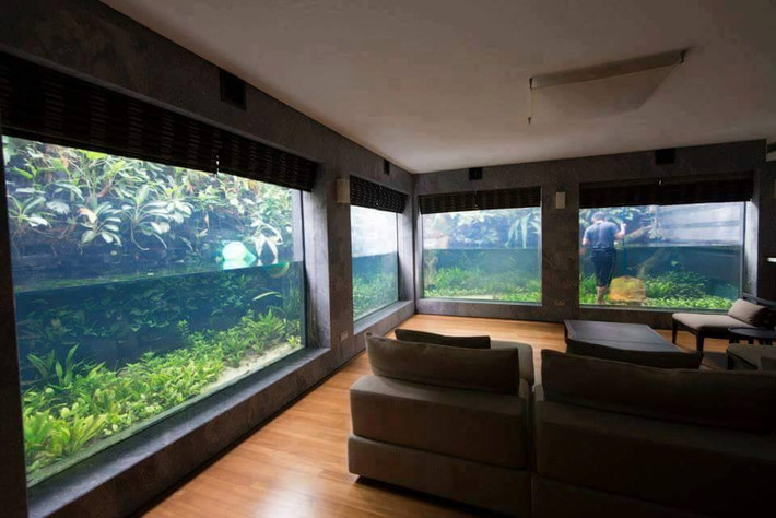 Không gian nhìn từ bên trong vô cùng đẹp mắt.
